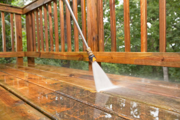 Animal Enclosure Cleaning in Pottsboro, TX